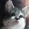 drawing of my cat nepeta as a kitten drawing of my cat nepeta as a kitten